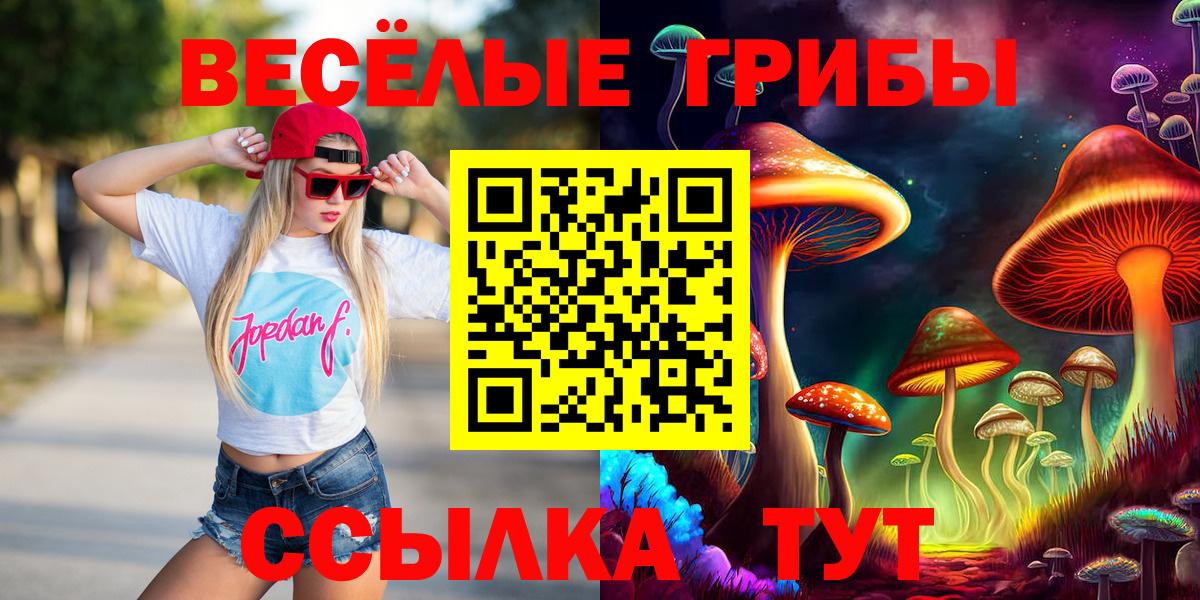 Псилоцибиновые грибы Psilocybine cubensis Асино