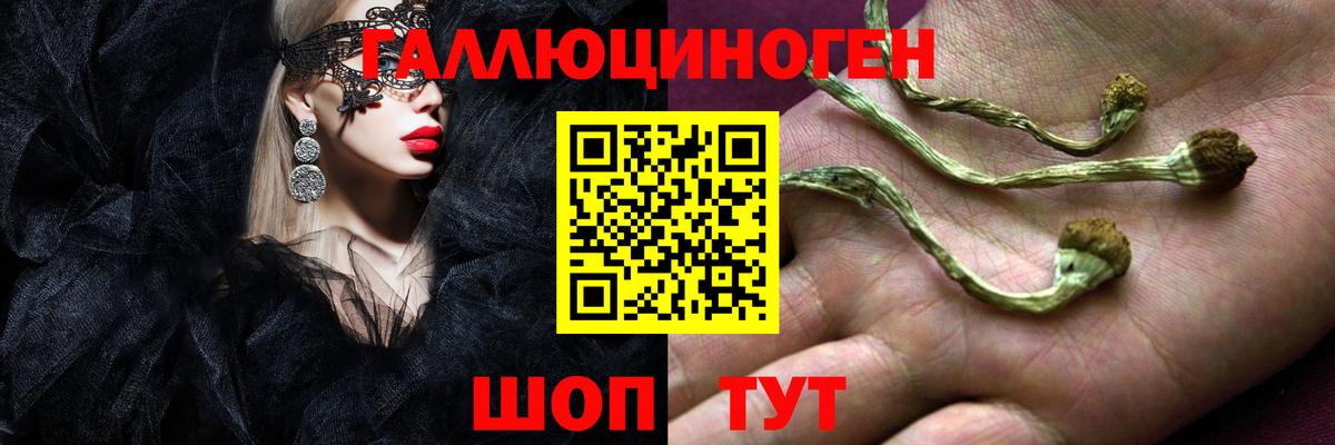 Асино  Галлюциногенные грибы ЛСД  Вход с VPN  Галлюциногенные грибы мухоморы 